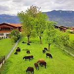 Sawasdee Swiss 公寓 维尔德斯韦尔
