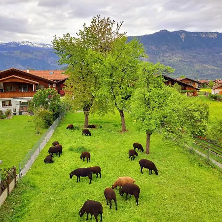 Sawasdee Swiss Apartament Wilderswil