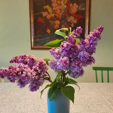 Sawasdee Swiss דירה