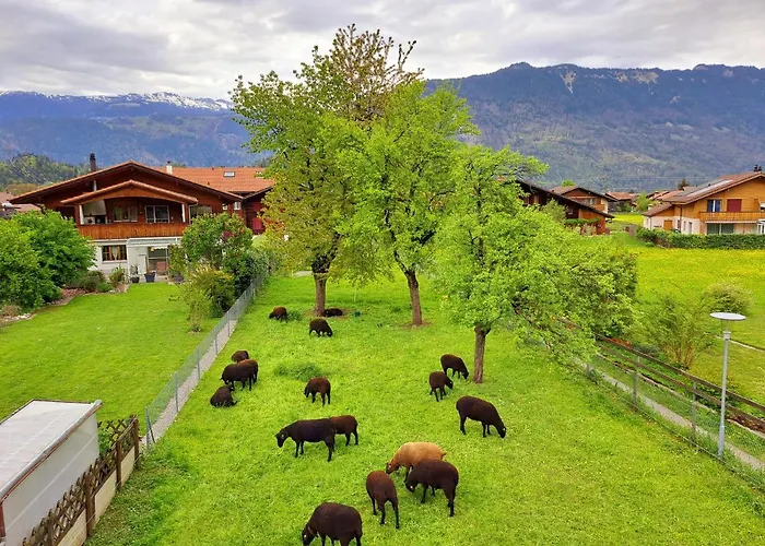 Sawasdee Swiss Apartamento Wilderswil